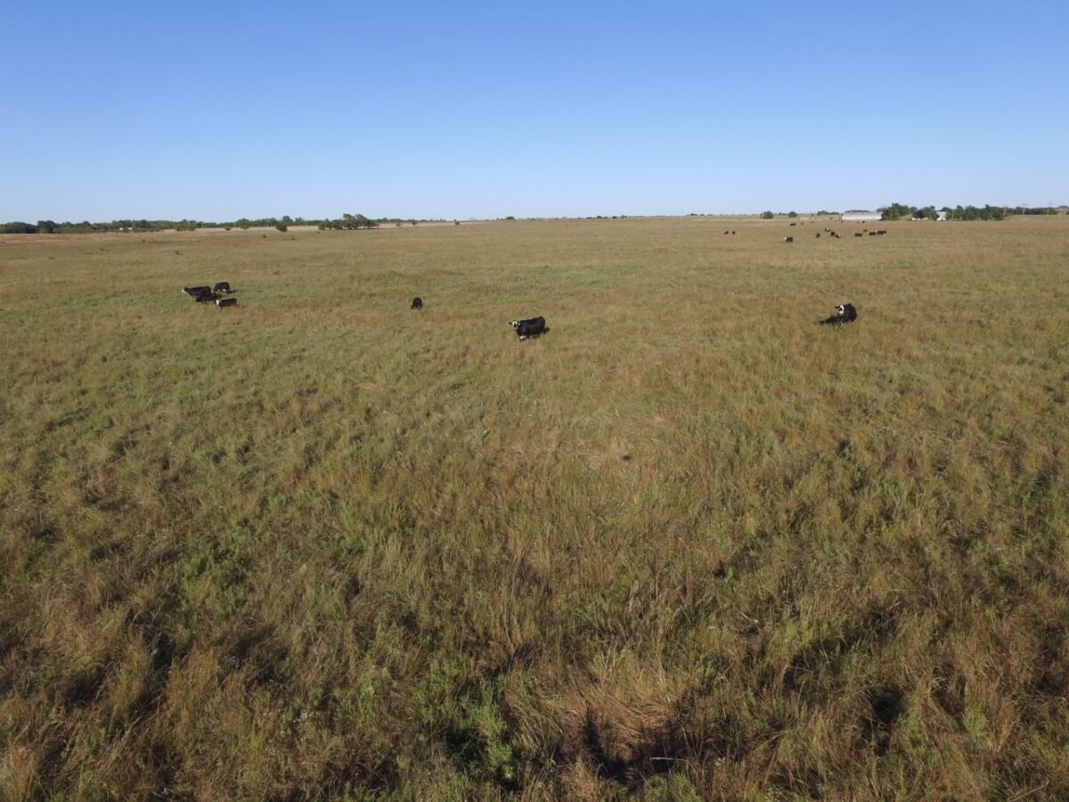 Cowley County Kansas Pasture For Sale Sundgren Realty Inc