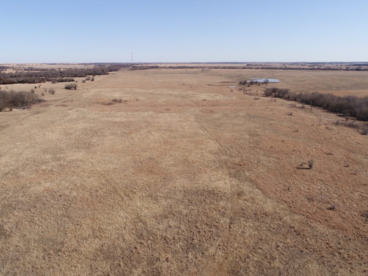 Cattle Grazing Pasture-Atlanta Kansas Land - Sundgren Realty Inc