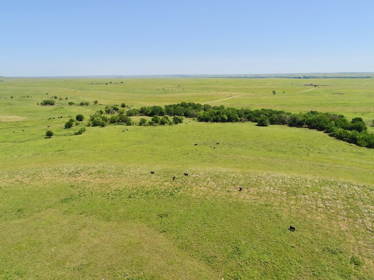 Kansas Flint Hills Land For Sale-Greenwood County Ks - Sundgren Realty Inc