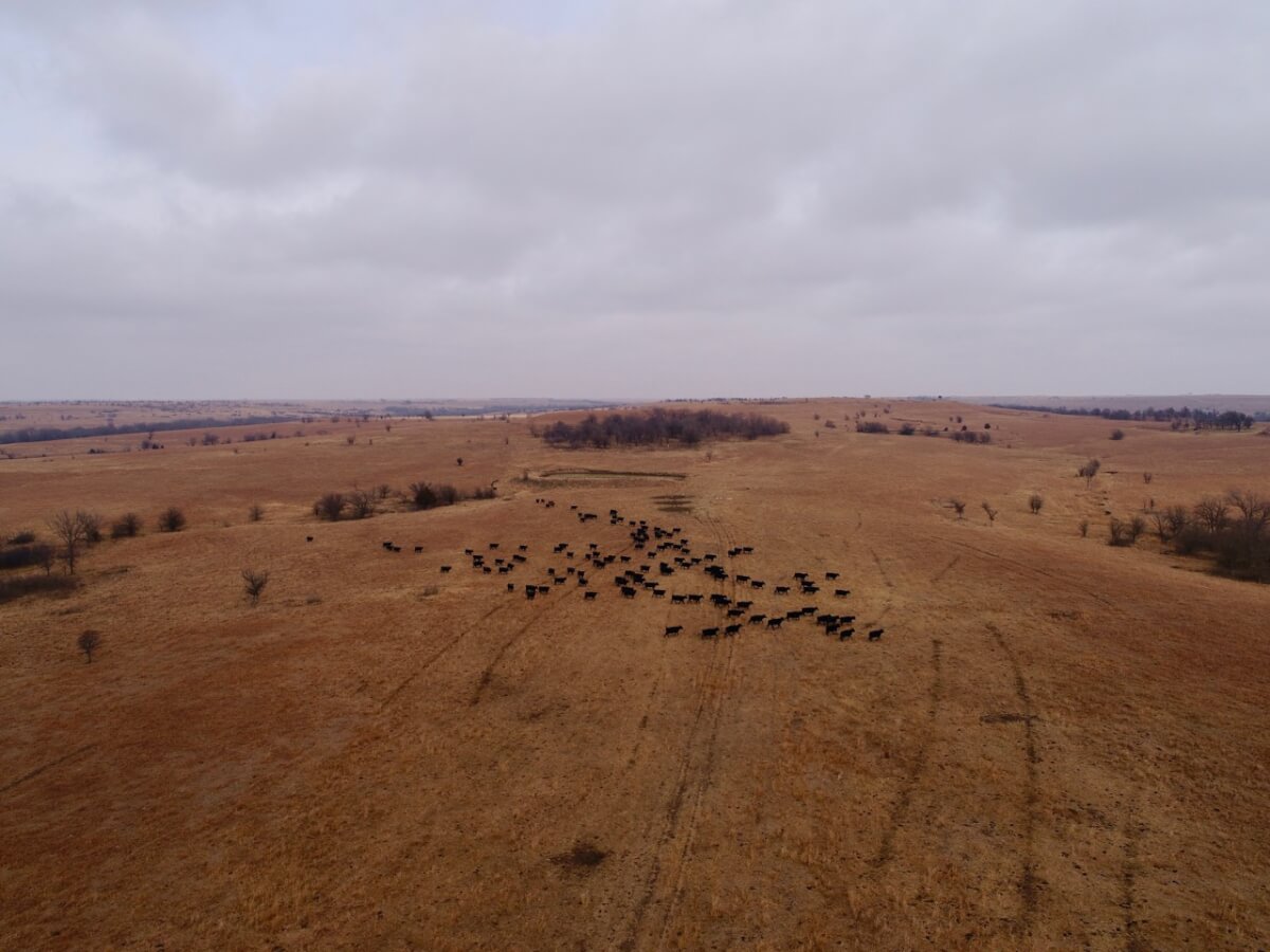 Greenwood County Kansas Cattle & Hunting Ranch Sundgren Realty Inc