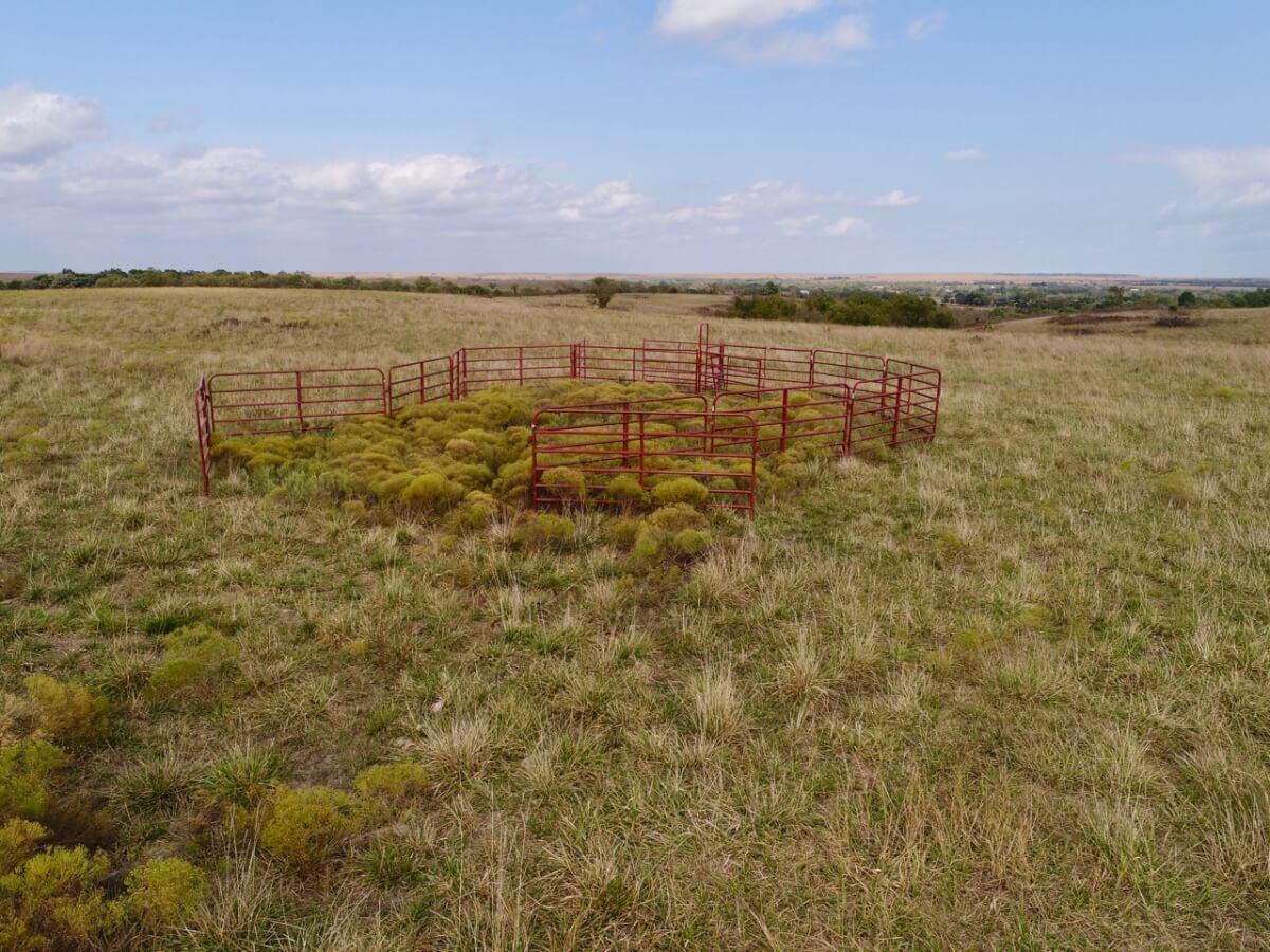 Greenwood County Kansas Pasture & Hunting Land For Sale Sundgren