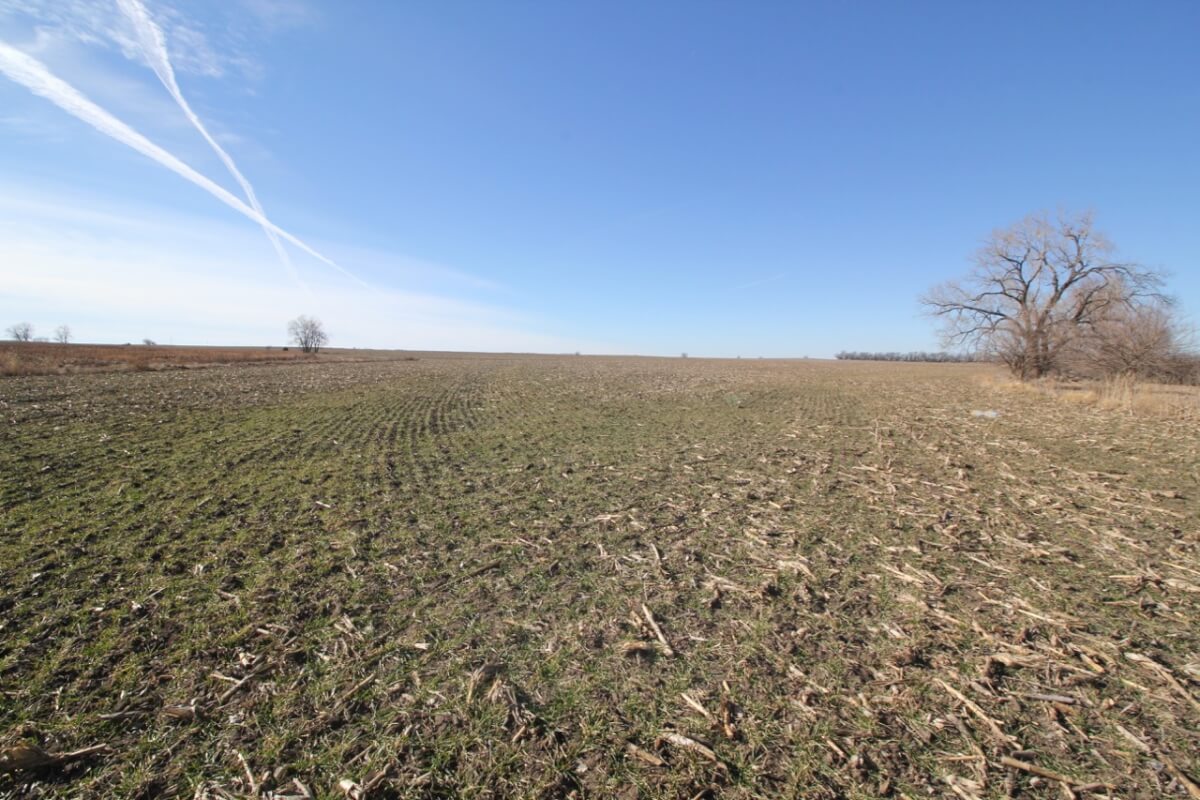 Marion County Tillable Land For Sale - Sundgren Realty Inc