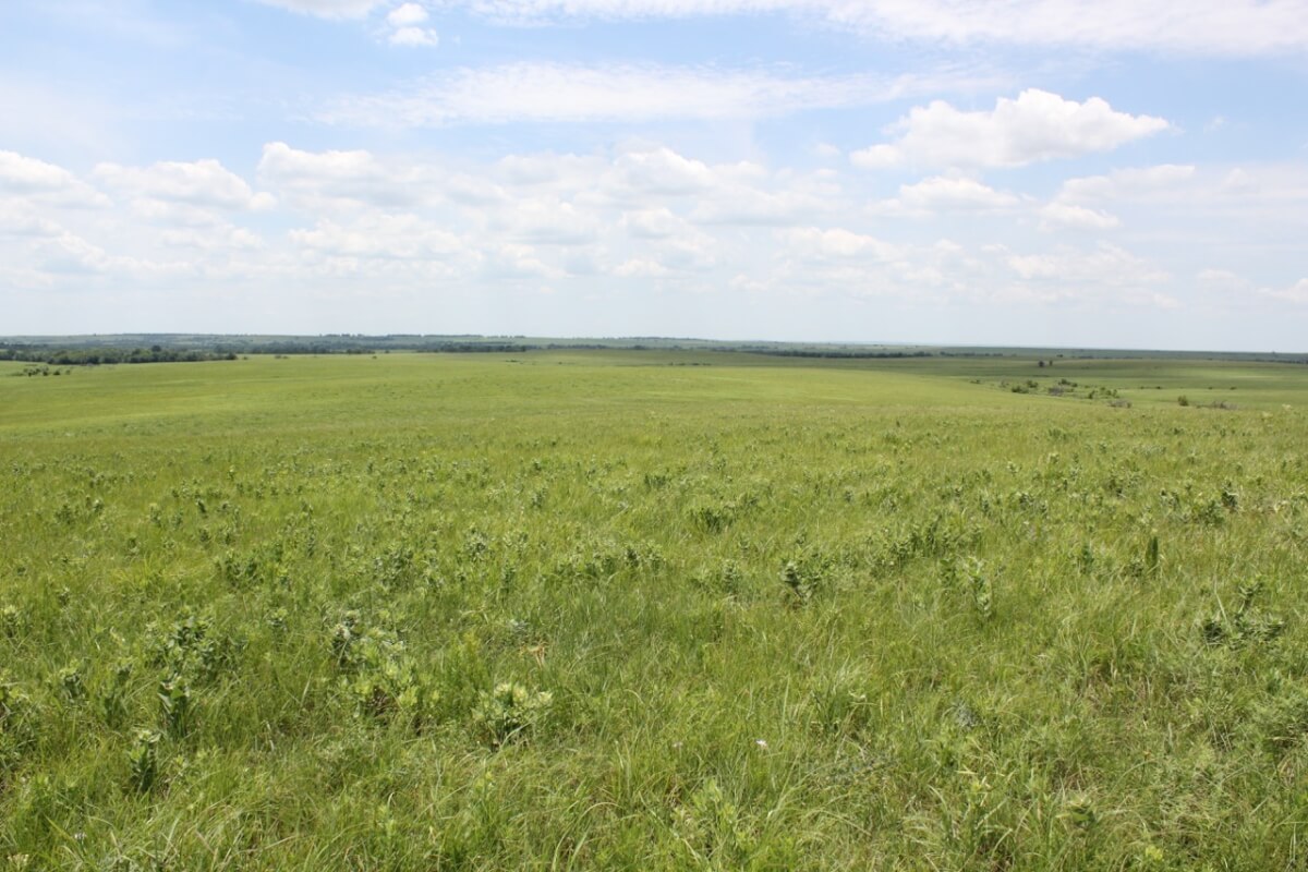 Elk County Kansas Cattle Ranch For Sale - Sundgren Realty Inc