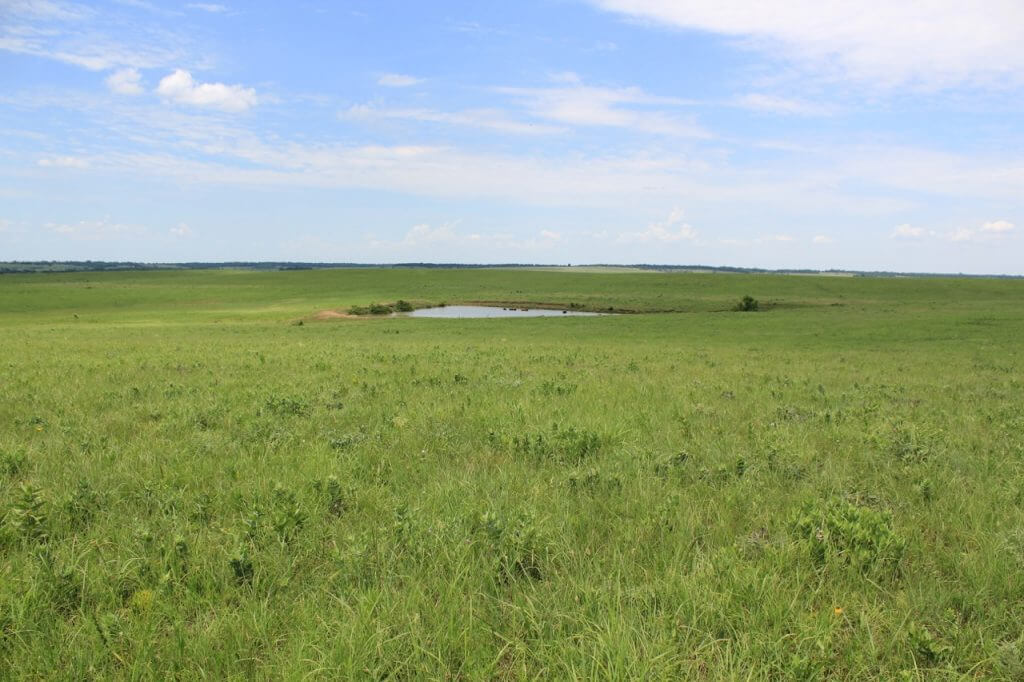 Elk County Kansas Cattle Ranch For Sale Sundgren Realty Inc