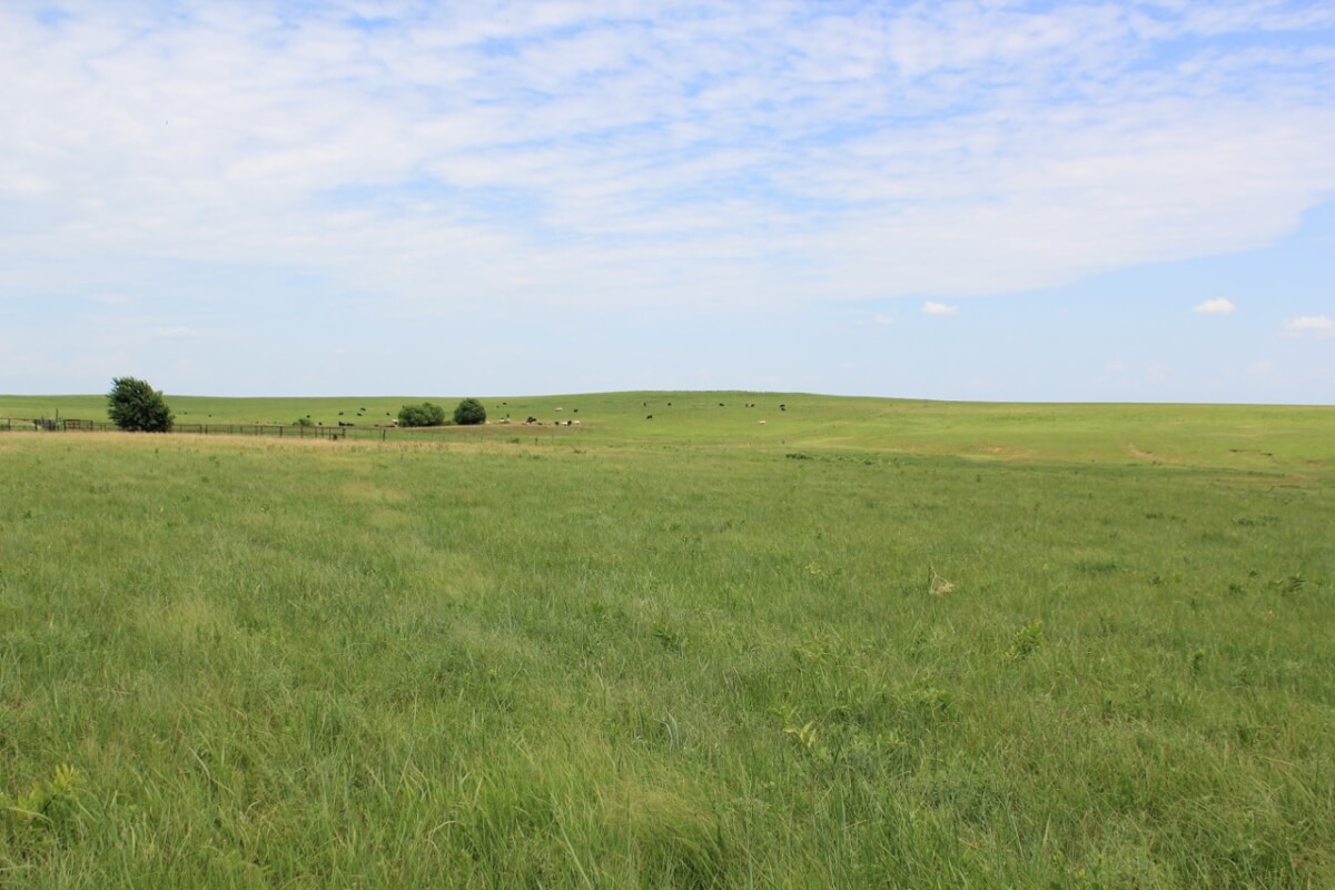 Elk County Kansas Cattle Ranch For Sale - Sundgren Realty Inc