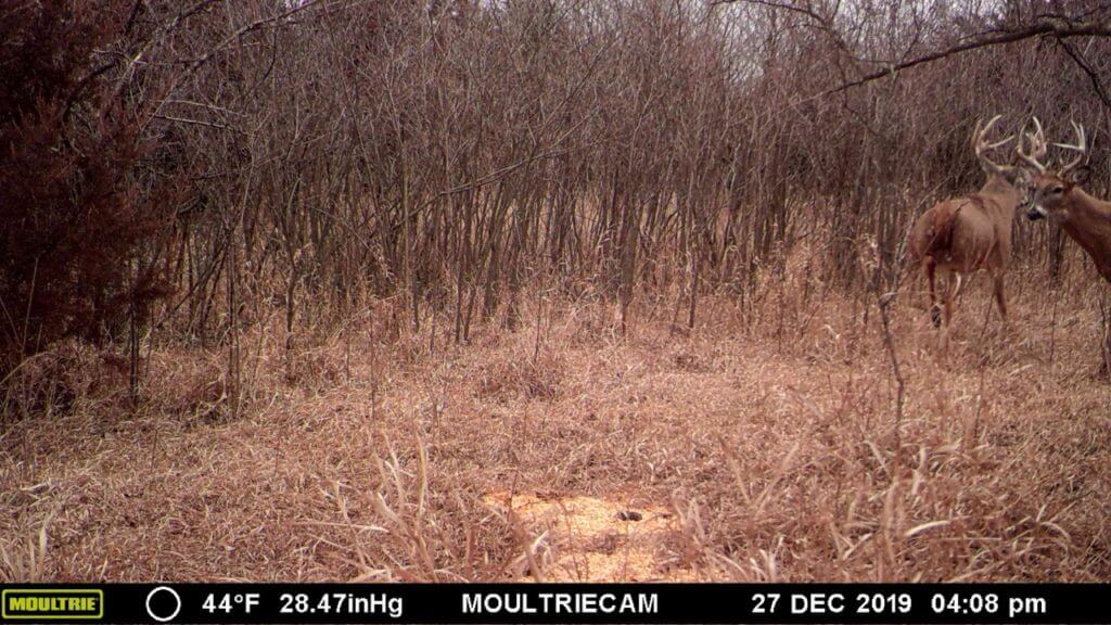 Marion County Hunting Land Sundgren Realty Inc