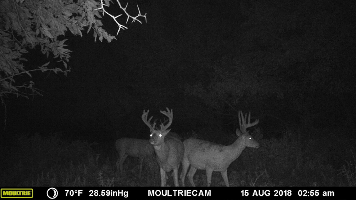 Greenwood County Land For SaleDeer Sundgren Realty Inc